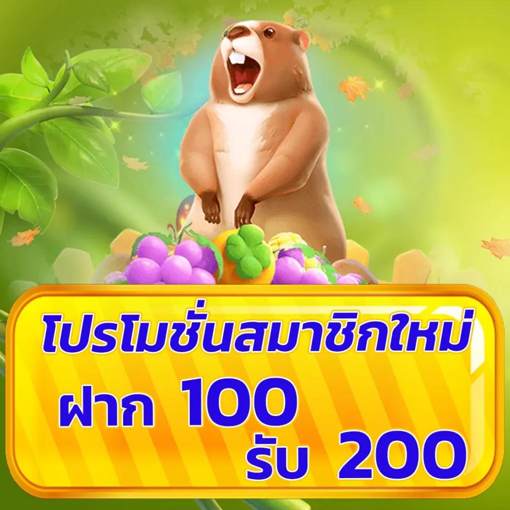 82pg เว็บตรง สล็อต ฝากถอนออโต้ ไม่ผ่านเอเย่นต์ 2026